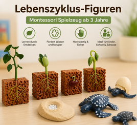 Montessori Spielzeug Ab 3 Jahre