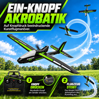 VolantexRC Ranger 600 Stunt – RC-Flugzeug RTF für Anfänger